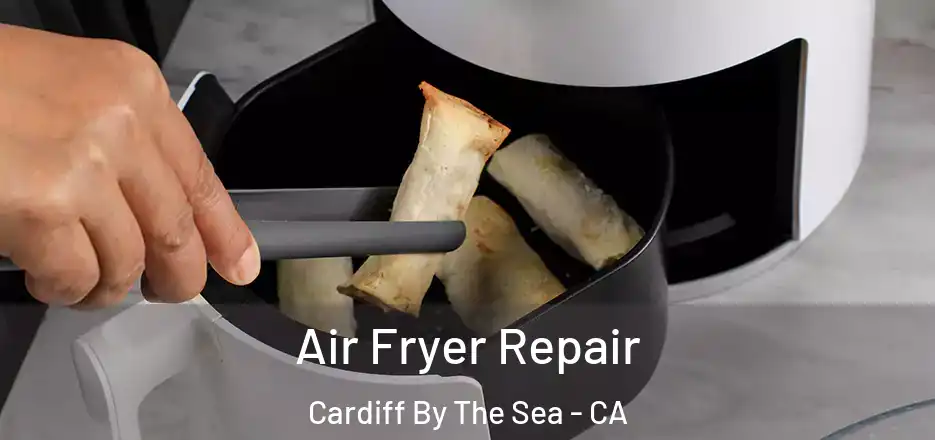  Air Fryer Repair Cardiff By The Sea - CA