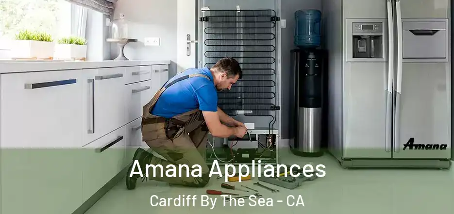  Amana Appliances Cardiff By The Sea - CA