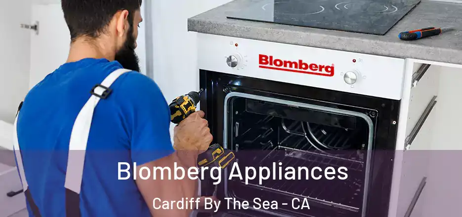  Blomberg Appliances Cardiff By The Sea - CA