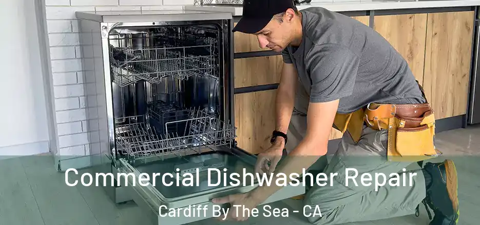  Commercial Dishwasher Repair Cardiff By The Sea - CA