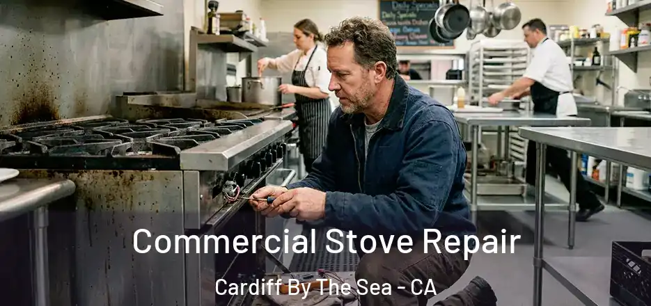  Commercial Stove Repair Cardiff By The Sea - CA