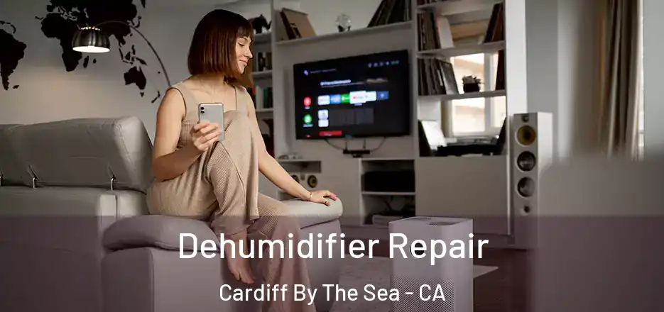  Dehumidifier Repair Cardiff By The Sea - CA