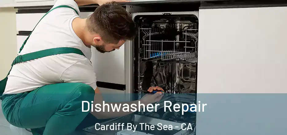  Dishwasher Repair Cardiff By The Sea - CA