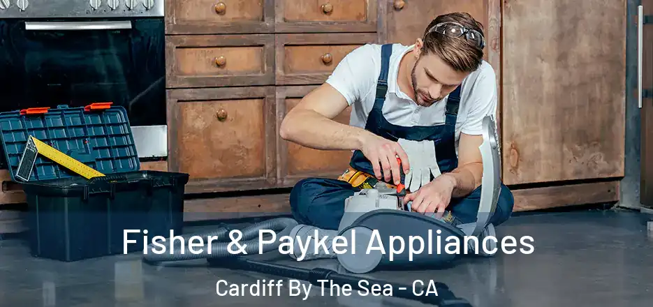  Fisher & Paykel Appliances Cardiff By The Sea - CA