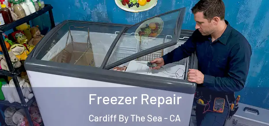  Freezer Repair Cardiff By The Sea - CA