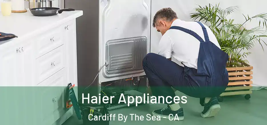  Haier Appliances Cardiff By The Sea - CA