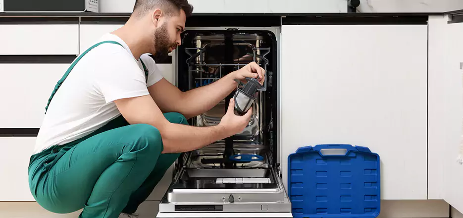 LG Appliance Maintenance and Care in Cardiff By The Sea