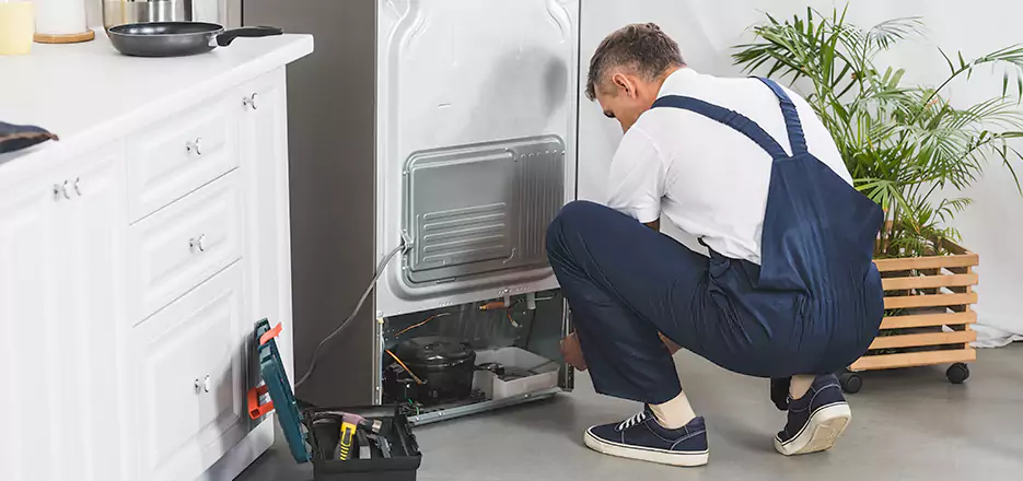 Refrigerator Cooling Repair in Cardiff By The Sea