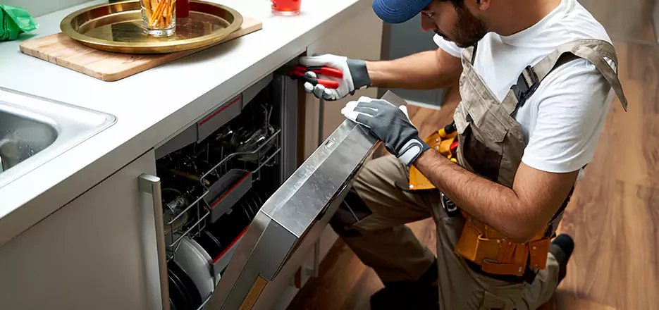 Same Day Dishwasher Not Draining Repair in Cardiff By The Sea