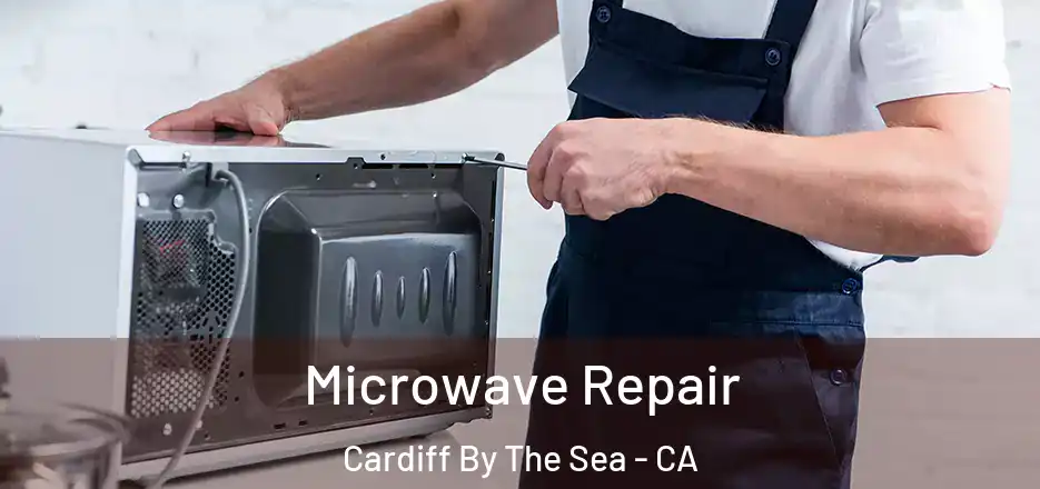  Microwave Repair Cardiff By The Sea - CA
