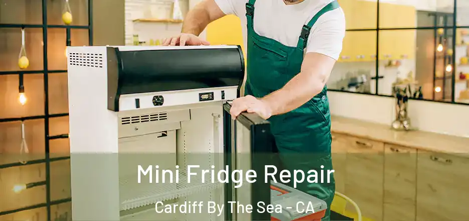 Mini Fridge Repair Cardiff By The Sea - CA