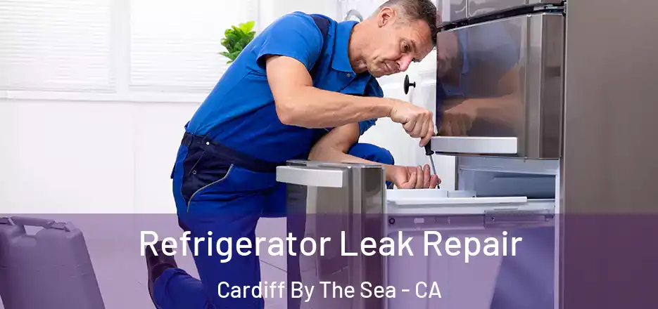  Refrigerator Leak Repair Cardiff By The Sea - CA