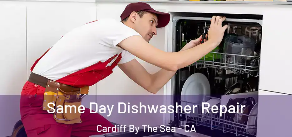 Same Day Dishwasher Repair Cardiff By The Sea - CA