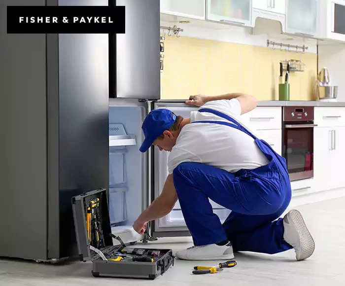Top-Rated Fisher & Paykel Appliance Experts: Your Brand Specialist in Cardiff By The Sea, CA