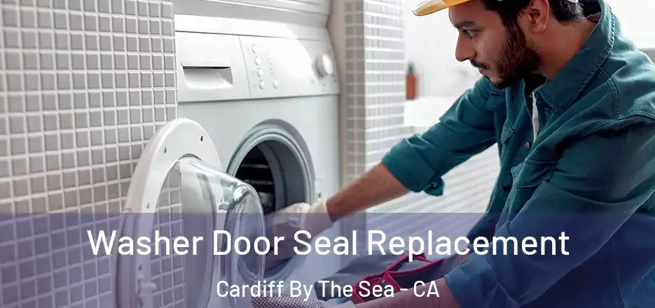 Washer Door Seal Replacement Cardiff By The Sea - CA